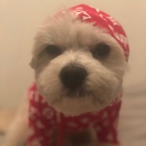 Meet your Posher, Max